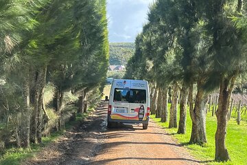 Waiheke Island Winery Tour