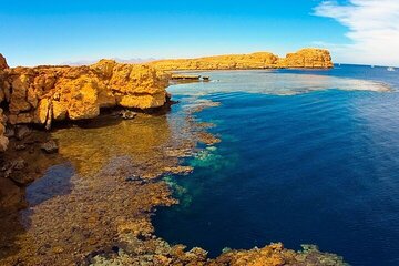 Sharm El-Sheikh White Island & Ras Mohammed Adventure