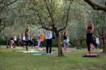 Private Full Day Tour and Yoga of the Prosecco Hills 