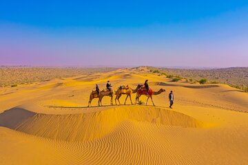 Pleasant Non-Touristic Overnight Camel Safari (From 2:00 PM to Approx. 10:30AM)