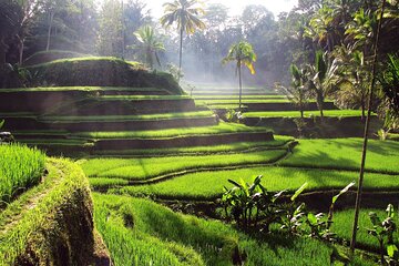 Private Full Day Bali Tour