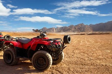  Private Quad Adventure with Dinner in Hurghada