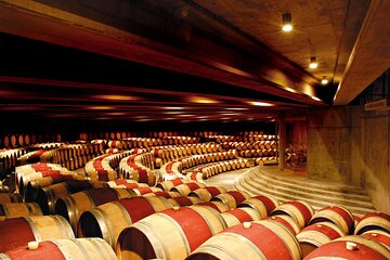 Colchagua Valley Experience 