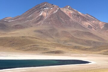 Full Day Tour to Piedras Rojas, Altiplanic Lagoons and Chaxa