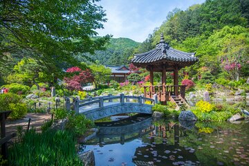 Nami island & Morning calm & Gangchon Railbike