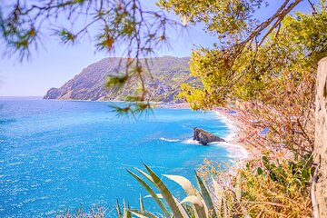 Cinque Terre and Pisa Full Day Tour from Florence 