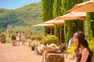 Half-day Experience to San Gimignano Hills with Picnic and Wine 