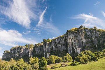 [Stevong Travel] 12-Hour LOTR Trollshaws & Waitomo Glowworm Tour 