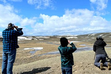 Full Day Private Yellowstone Tour