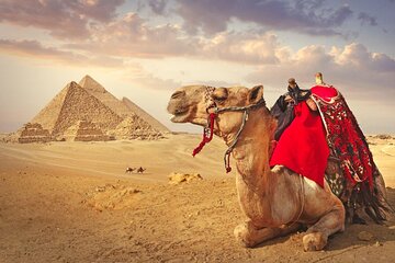 Full Day Cairo Guided Tour Pyramids and Museum, Lunch - Hurghada 