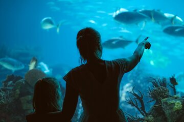 Hurghada Grand Aquarium with the transfer