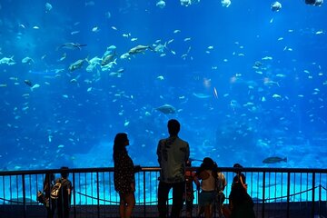 Grand Aquarium tickets with the transfer in Hurghada 