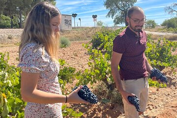 Utiel-Requena Excursion: Uncover the Flavors of Valencia's Wine