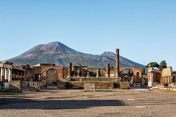  Pompeii and Vesuvius Tickets Included Half Day - Private Tour