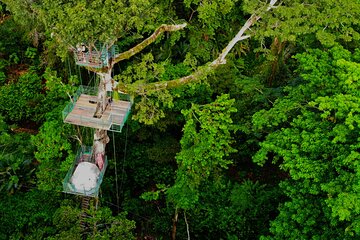 1 Day Tree Climbing and Rappelling Experience with Accommodation