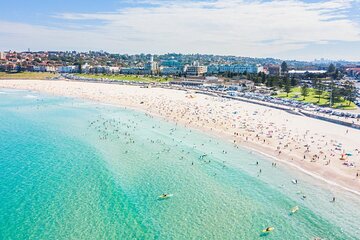 Half-Day Private Guided Tour of Sydney