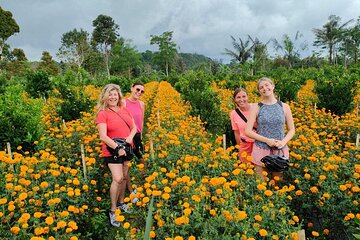 Mount Batur to Ubud - Soft Adventure