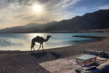 Dahab Blue Hole & Canyon from Sharm El Sheikh