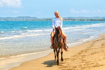 Horse Riding Adventure From Sharm El Sheikh