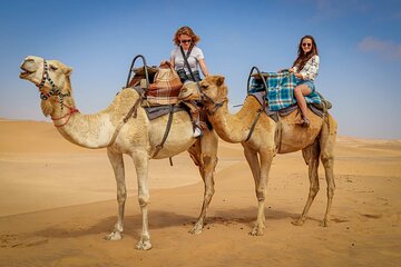 Super Safari with VIP Dinner and Camel from Sharm