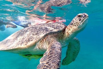 8 Hours Private Activity in Abu Dabab from Hurghada