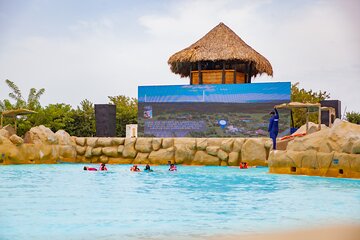 Tour New Caribbean Water Park Adventure with Mud Volcano