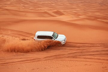 Private Morning Desert Safari with Camel Ride Falcon Photos