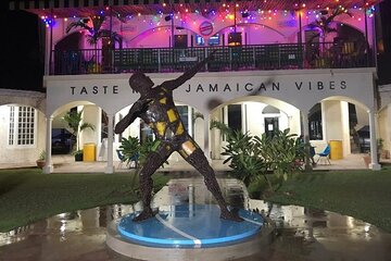 Montego Bay Highlights with Local Guide & Private Transportation