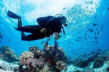 Scuba Diving Full Day Boat Trip for beginners from Hurghada