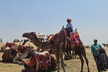 Full day Cairo tour offer from 1 to 3 fixed price 