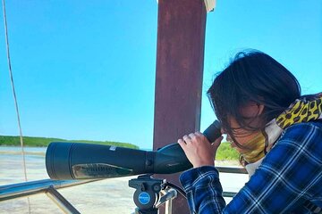 Olango Island Bird Watching and Snorkeling Day Trip from Cebu