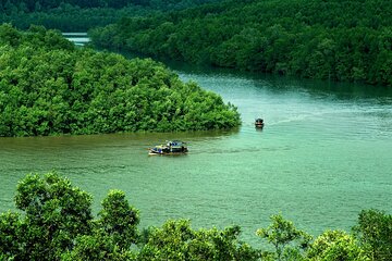 Can Gio Mangrove Forest Island Private Tour From Ho Chi Minh City