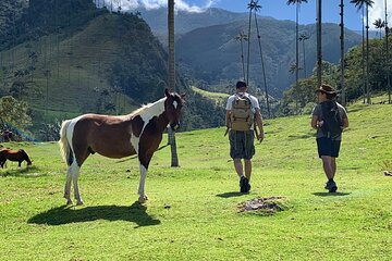 Half-Day Cocora Serenity Adventures 