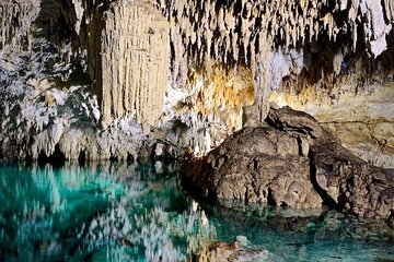 2 Cenotes Guided Snorkeling Adventure in Tulum