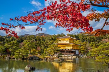 From Osaka-Kyoto: Kyoto and Nara 1Day Bus Tour