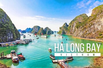 Halong Bay Standard Day Tour with Expressway Transfer from Hanoi 