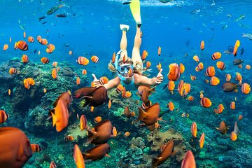 Full-Day Tulum Adrenaline Reefs