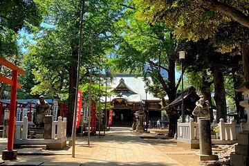 Private walking Tour in Tokyo with a Local Guide