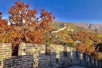 Private Beijing Layover Tour: Mutianyu Great Wall, Summer Palace