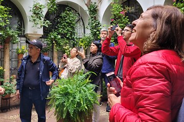 Cordoba Private Tour with Mosque Entrance from Seville