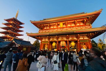 Tokyo Private Custom Day Tour With English Speaking Chauffeur