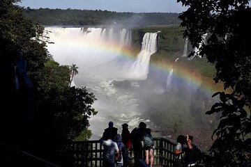 Brazilian Side of the Cataratas and Parque Das Aves with tickets