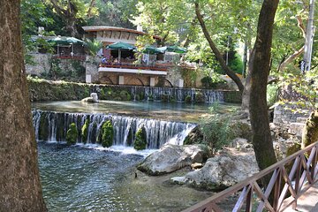 Full Day Tour to Delphi and Livadia