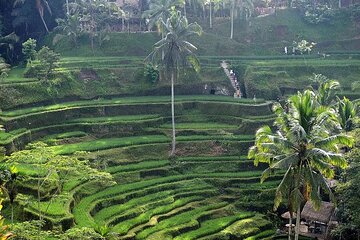 Best Bali Day Tour