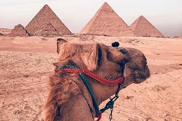 Full Day Private Tour to Giza Pyramids, Museum and Khan elKhalili