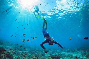 Coral Garden Snorkeling sea trip with One Intro Dive - Marsa Alam
