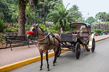 Horse-Drawn Carriage Ride from Aswan Hotels