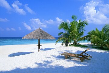 Contoy Reef & Isla Mujeres Tour! From Cancun & Playa del Carmen 