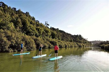 2-Hour Stand-Up Paddle Boarding Tour to Lucas Creek Waterfall