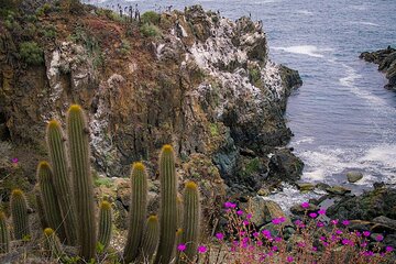 Private Garden Tour in Central Coast of Chile with Lunch included